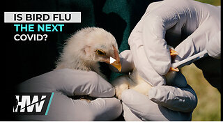 IS BIRD FLU THE NEXT COVID?