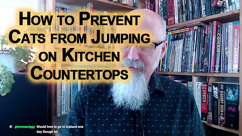 How We're Preventing Our Kitty Cats from Jumping on the Kitchen Countertops: Chicken Wire, How to