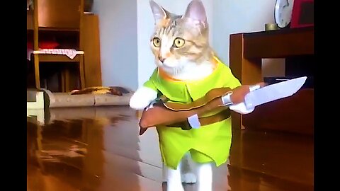 Crazy Cat Capers: The Most Viral Cat Videos of 2023| Viral Cat Video Compilation