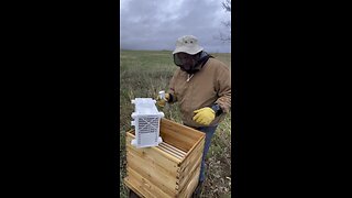 We got bees, and they’re not happy!!! lol