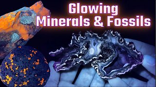 FLOURESCENT & GLOWING Minerals and Fossils in UV LIGHT from my Rock Collection!