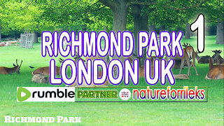 Richmond Park London UK Part-1