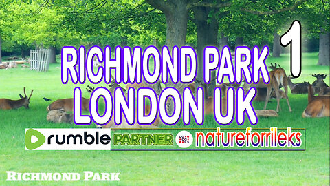 Richmond Park London UK Part-1