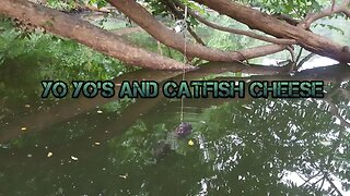How to catch catfish with yo yos and catfish cheese