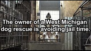 The owner of a West Michigan dog rescue is avoiding jail time.