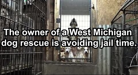 The owner of a West Michigan dog rescue is avoiding jail time.