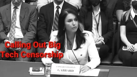 Tulsi Gabbard Calls Out The Big Tech Censorship From Twitter & Facebook