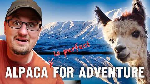 Is Alpaca fiber really THIS good? The PAKA Base layer and how it performs hiking and camping 🦙