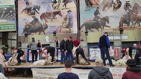 Black Hills Stock Show Rapid City National Sheep Shearing Competitions 2023 Intermediate Division