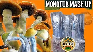 Grow Mushroom from a Spore syringe | EASY Tutorial for Monotub Mushrooms