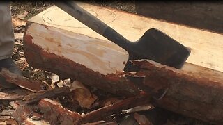 Debarking Pine Logs for the Log Cabin Build (Ep 5)