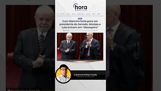 Marinho forte desespera Lula e Moraes | #Ozzinformados #PoliticaBrasil #shortpolitica