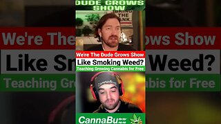 Subscribe and Ask Us Anything! Cannabis Growing. Expert Techniques. The Dude Grows Show 🔥