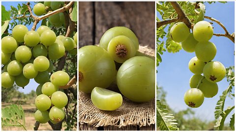 Revitalize Your Skin With Amla: Experience Age-Defying Benefits Today