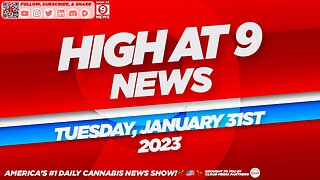 High At 9 News : Tuesday January 31st, 2023