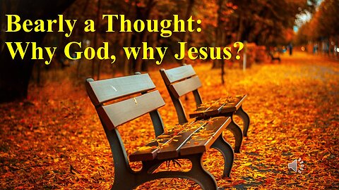 Bearly a though: Why God, Why Jesus