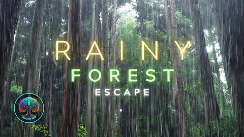 💤🌲 Rainy Forest Escape 🌲🌧️: Relaxing Rain Sounds for Sleep, Insomnia, Stress Relief & Study 🎧 #rainsounds #sleepsounds #soundscapes [Past Livestream]