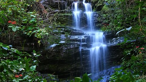 Gentle Forest Waterfall Sounds | Relaxing Stream Sounds use for Relaxation, Sleep, insomnia
