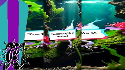 The Astonishing Life of the Axolotl