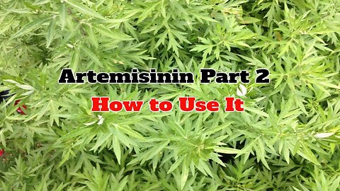Artemisinin Part 2: How to Use It