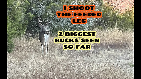 Seeing Best 2 Bucks I've Seen On My Ranch/First Gobbler/Artifact/I Shot Feeder Leg