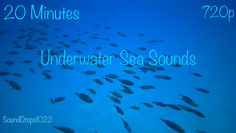 Calm and Relaxing 20 Minutes Of Underwater Sea Sounds