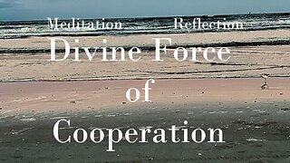 Divine Force of Cooperation