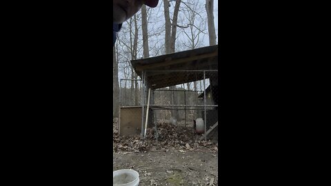 Creating some compost for the garden
