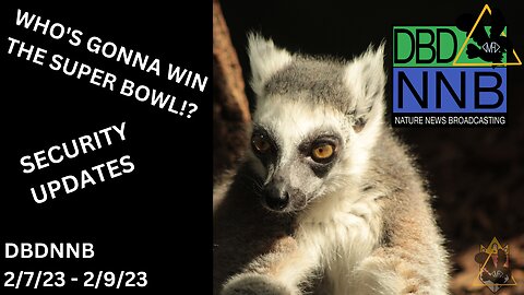 Animals Predict the Super Bowl Winner!; (How do you say 'charcuterie') | DBDNNB February 10th, 2023