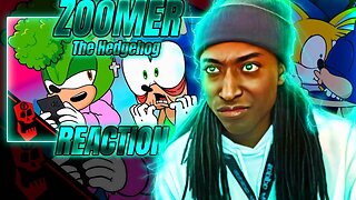 Zoomer the Hedgehog Parody REACTION