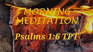 Morning Meditation -- Psalm 1 verse 6 TPT
