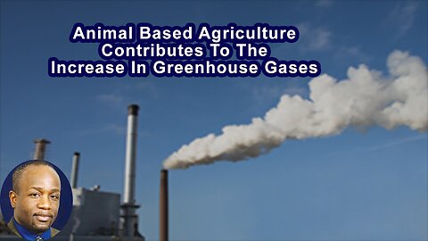 Animal Based Agriculture Is One Of The Major Contributors To The Massive Increases