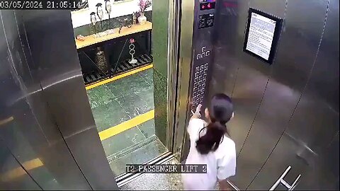 A dog entered the lift and Bit, scratched a girl