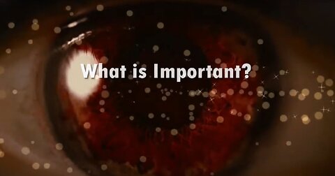 What Is Important?