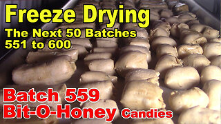 Freeze Drying - The Next 50 Batches - Batch 559 - Bit-O-Honey