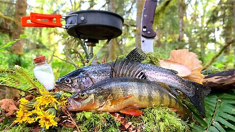 FISHING & FORAGING for FOOD!!! Solo SURVIVAL CHALLENGE (Perch, Trout Catch & Cook)