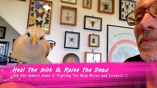 Heal The Sick & Raise The Dead - 9th Day Update Annie O' Fighting The Meal Worms | Dr. Robert Cassar