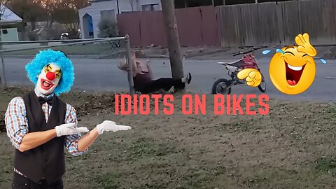 Idiots On Bikes
