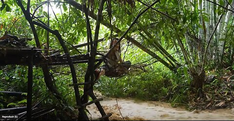 3 DAY SOLO OVERNIGHT CAMPING IN THE RAIN FOREST - RELAXING IN THE TENT WITH THE SATISFYING SOUND