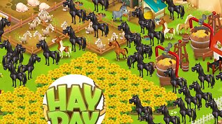 New Hay Day Strategy: Building an Army of Black Horses