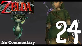 The Legend of Zelda Twilight Princess HD - Ep24 Gerudo Desert No Commentary