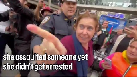 A Zionist woman harass a Jewish peace activist in NY City
