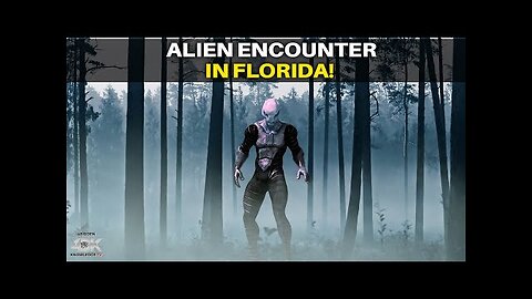 An Alien Encounter in The Florida Marshlands and a Visit from The Men in Black