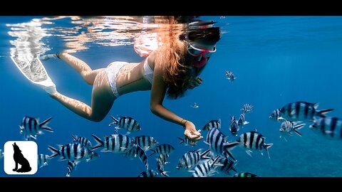 4K Mesmerizing Underwater Sounds & Sights 🌿 Soothing & Meditative Music