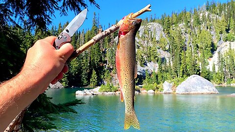 MOUNTAIN TROUT Fishing Challenge! Catch & Cook UNCUT!!!
