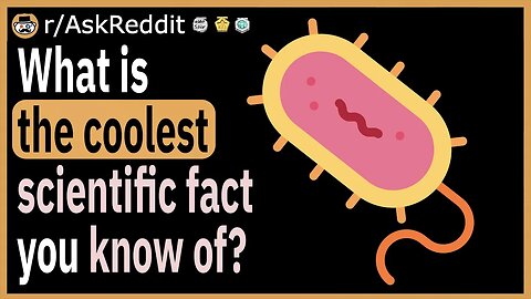 What is the coolest scientific fact you know of?