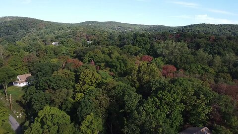 Hudson Valley Tree Top View | DJI Mini 2 Drone