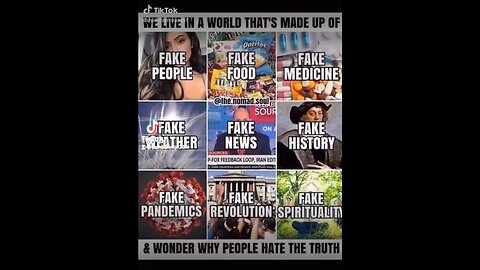 We Live In A Fake World