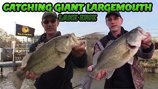 Catching Giants While Bass Fishing Lake Erie