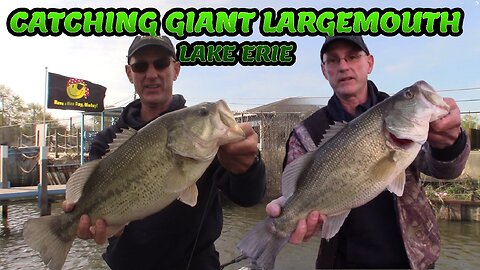 Catching Giants While Bass Fishing Lake Erie